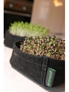 PACK DÉCOUVERTE DES MICRO POUSSES BIO